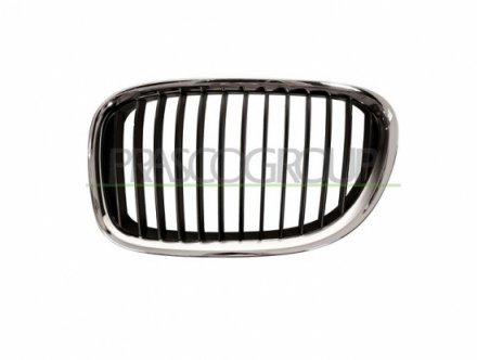 Acessar a peça Moldura da grelha frente esquerda