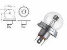 Acessar a peça Conjunto de 10 lâmpadas R2 12V (blister)