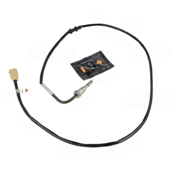 Acessar a peça Sensor de temperatura dos gases de escape